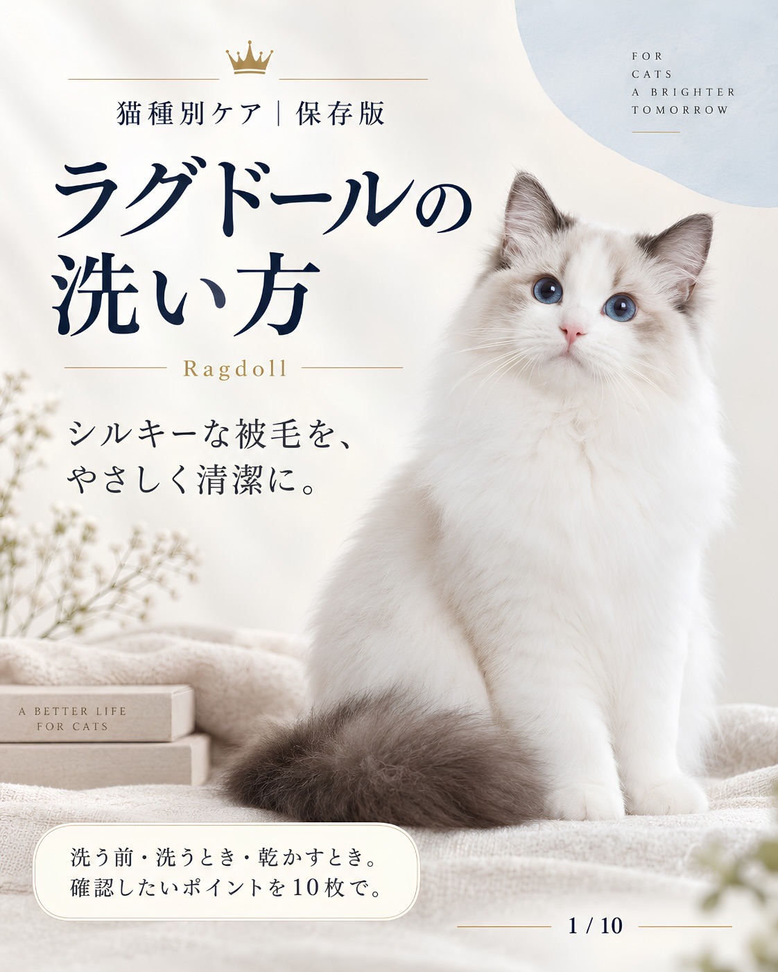 ラグドールのシャンプー｜毎回フル工程にしない判断