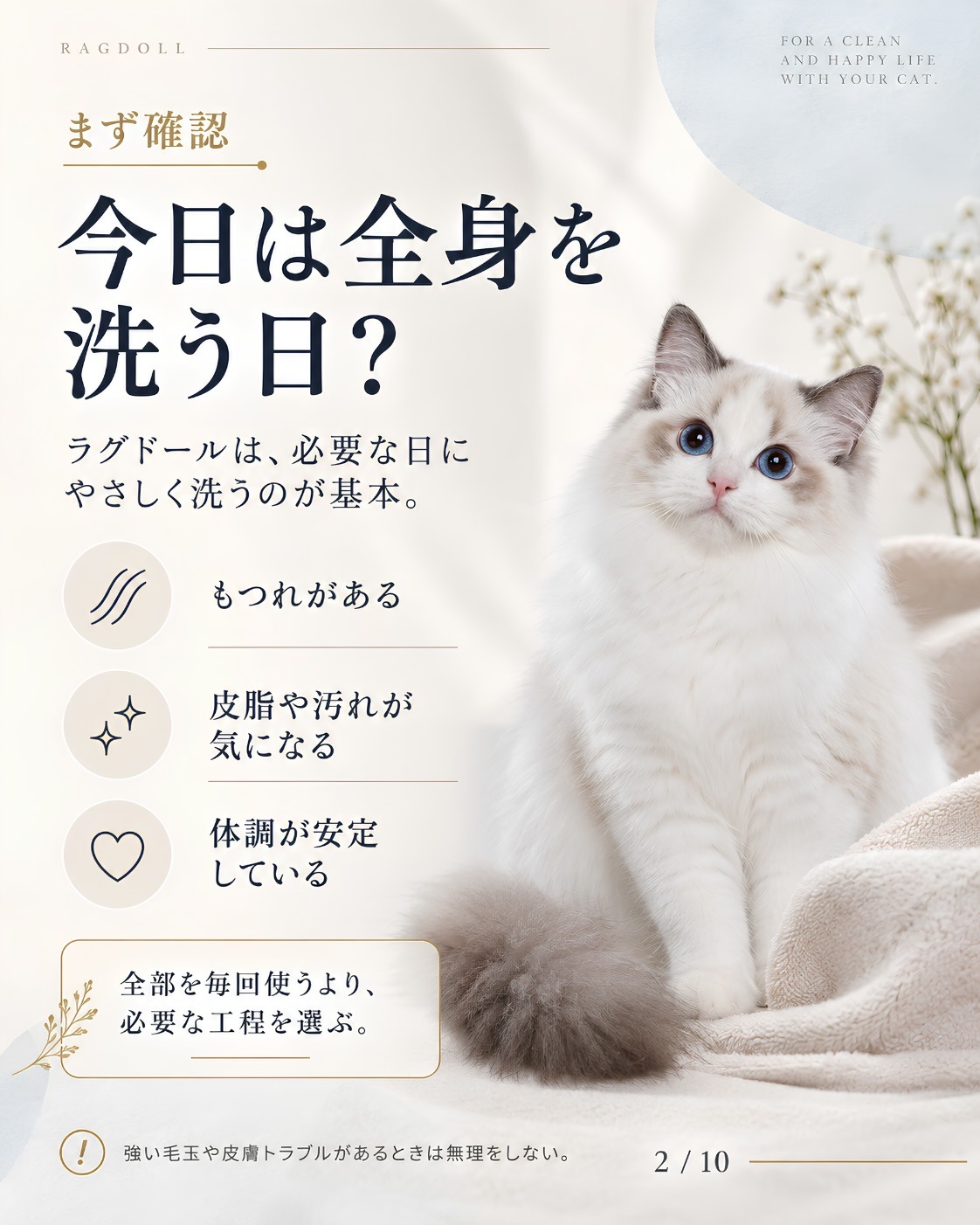 ラグドールのシャンプー｜毎回フル工程にしない判断 2/10