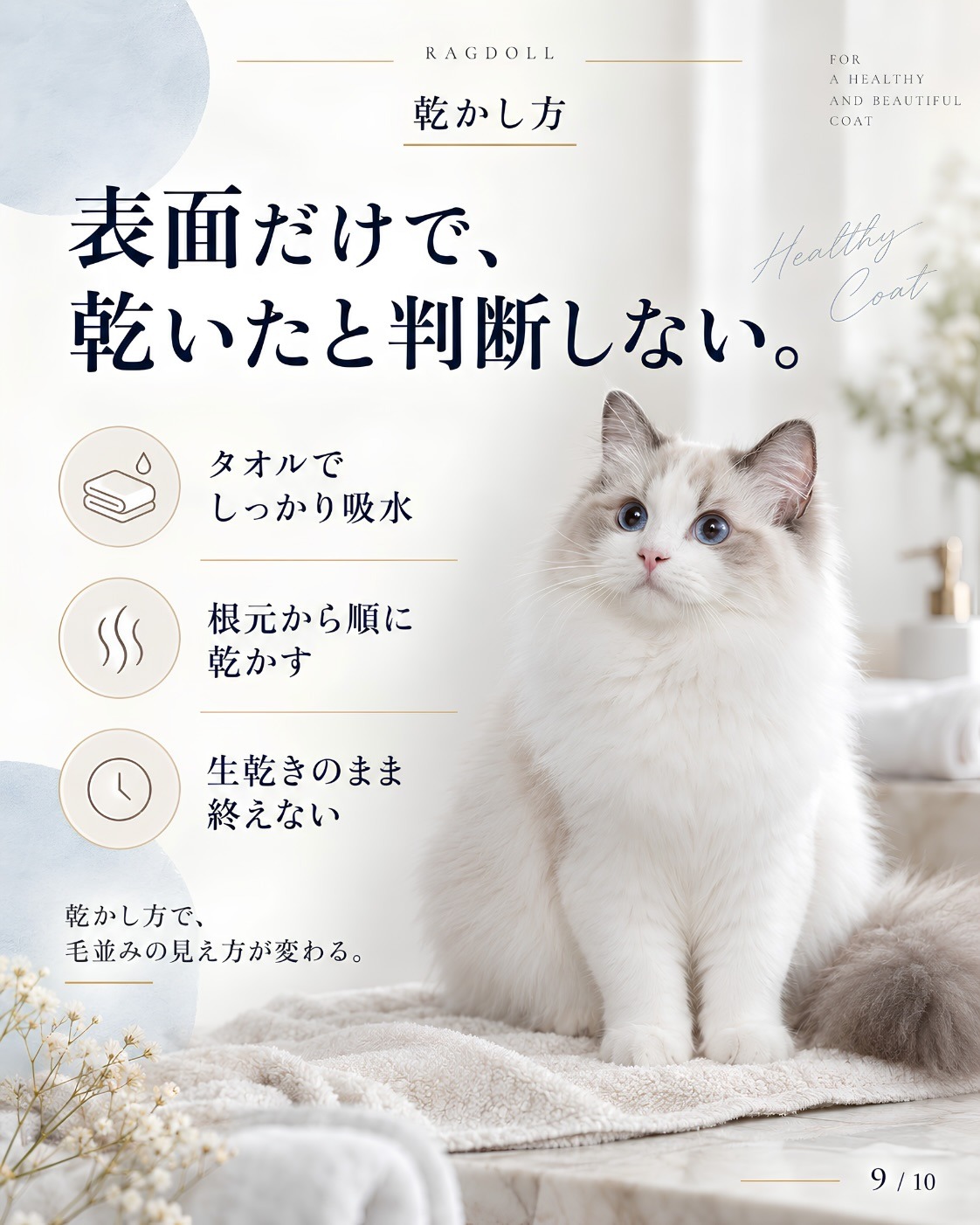 ラグドールのシャンプー｜毎回フル工程にしない判断 9/10