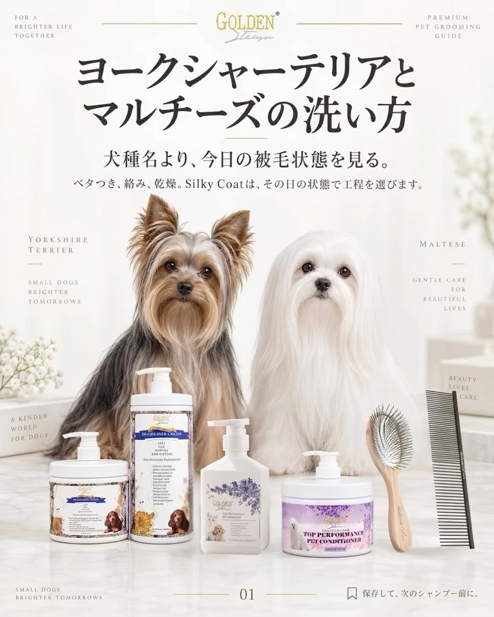マルチーズ・ヨークシャーテリア｜被毛状態で変えるシャンプー工程