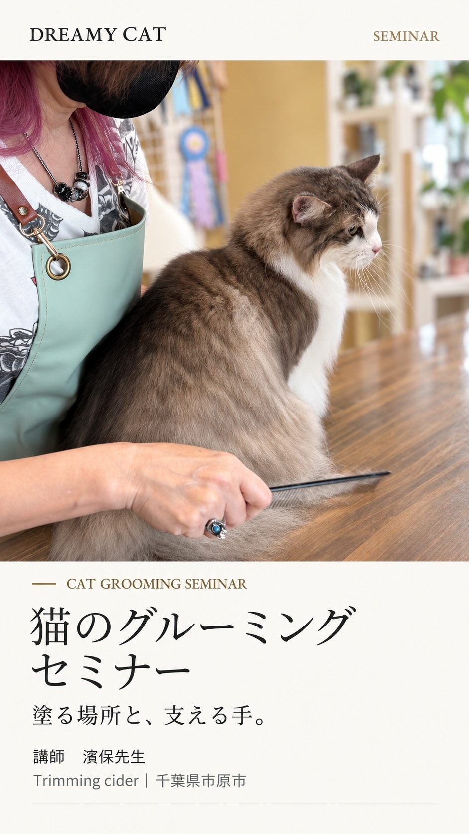 猫のグルーミングセミナー｜部位で変えるクリームのなじませ方
