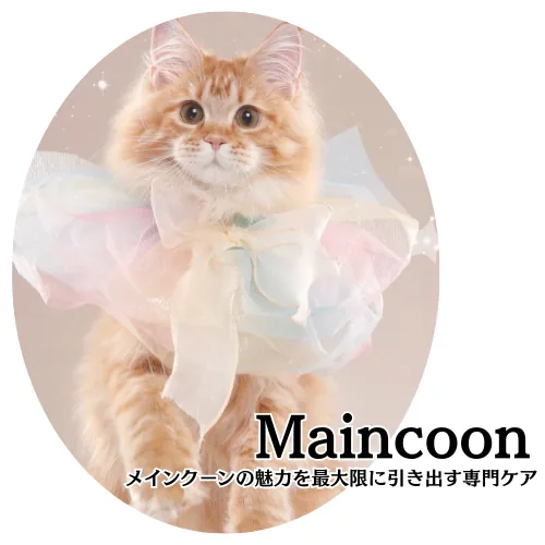 Maine Coon専用シャンプーの商品画像
