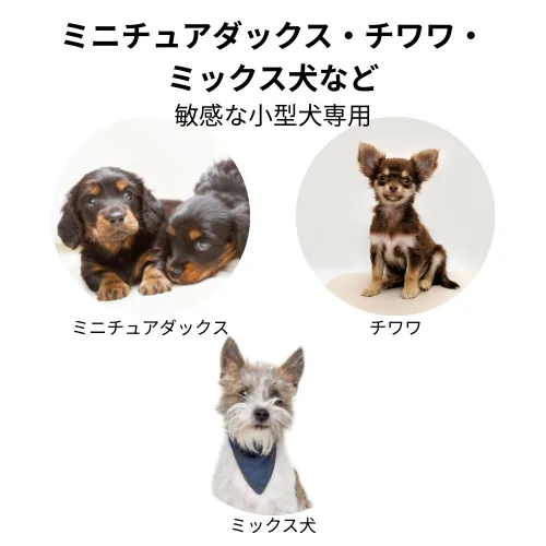 ミニチュアダックス・チワワ・ミックス犬など 敏感な小型犬専用の商品画像