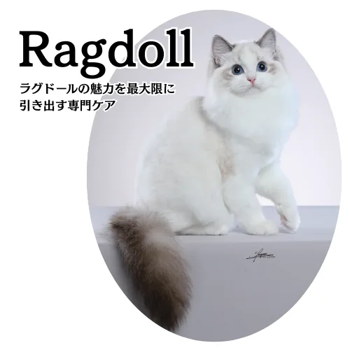 ラグドール専用シャンプーの商品画像